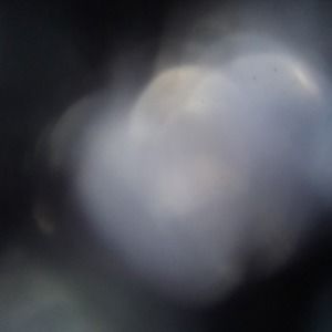 Meet your Posher, Jared